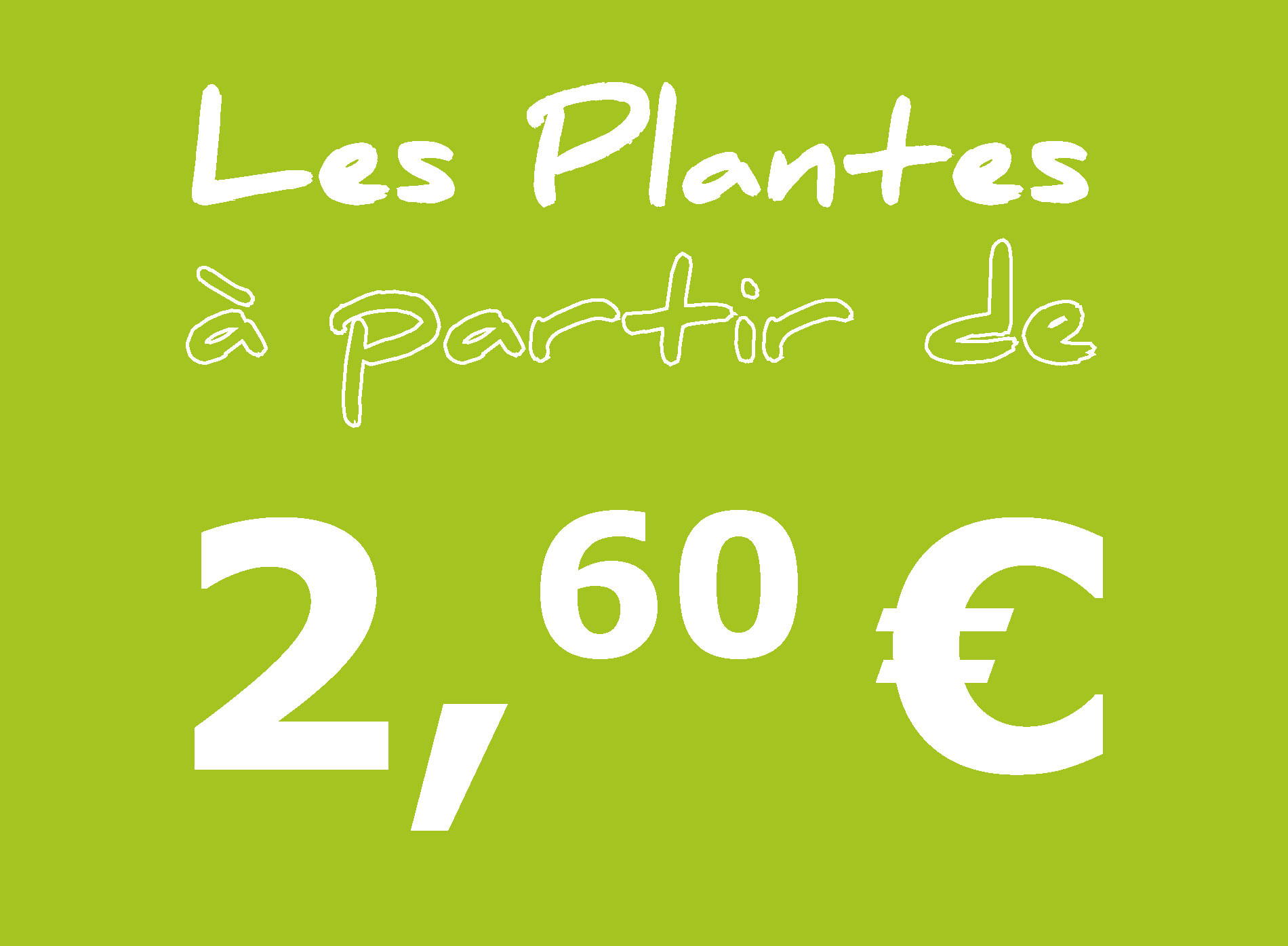 Les plantes à partir de 2,60 €