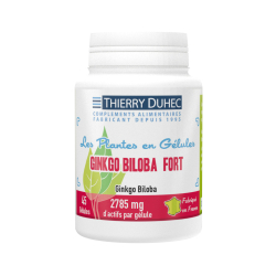 Ginkgo biloba Fort 2793 mg