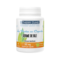 Germe de blé 