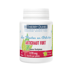 Artichaut Fort 1400 mg