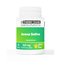 Avena sativa