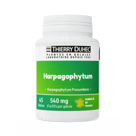 Harpagophytum 540 mg